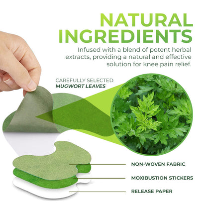 Herbal Knee Pain Patch